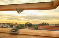 rated Dalbury roof window companies